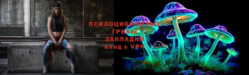 что такое   Красновишерск  Галлюциногенные грибы Magic Shrooms 